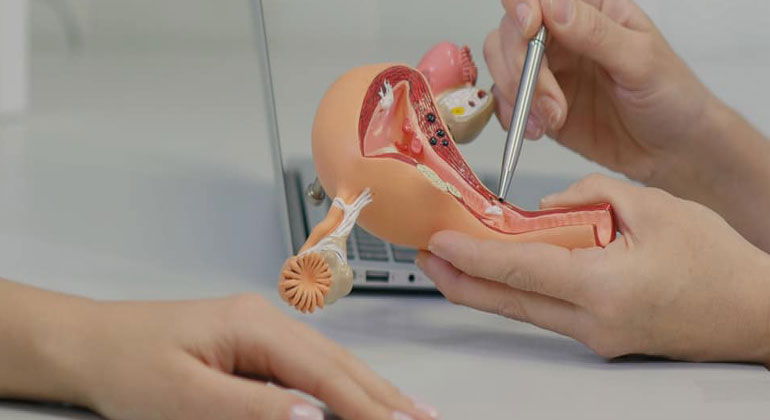 gyanecology at Padma Clinic