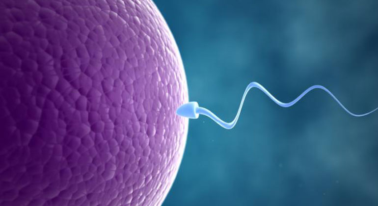 anesthesiology at Padma Clinic