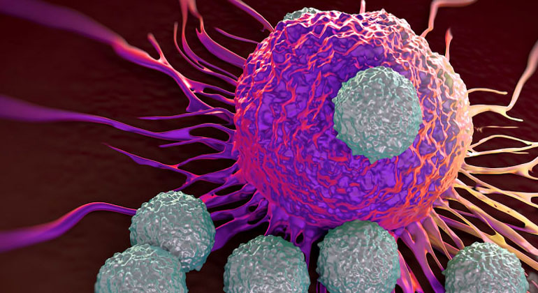 anesthesiology at Padma Clinic