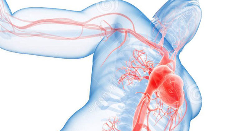 anesthesiology at Padma Clinic